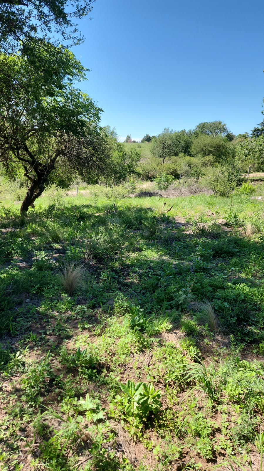 Terreno En Bialet Masse