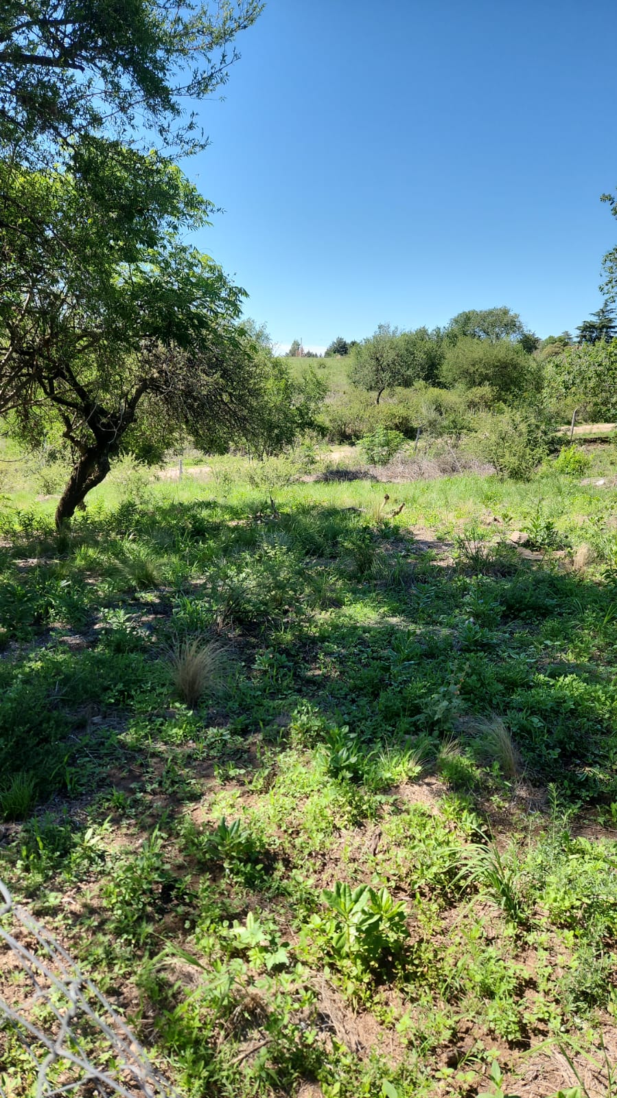 Terreno En Bialet Masse