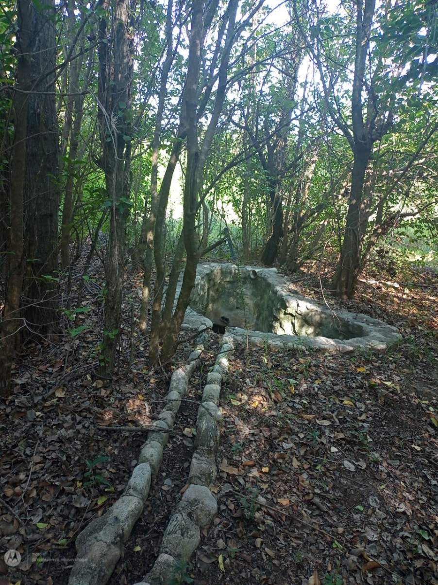 CASA EN VENTA LOS MOLLES - CON ACEQUIA -