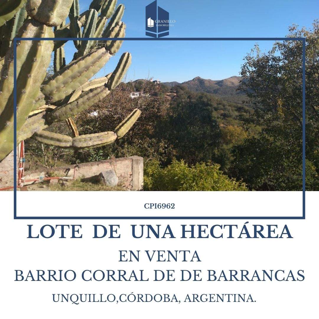 SE VENDE LOTE DE 1 HECTÁREA, BARRIO CORRAL DE BARRANCAS, UNQUILLO
