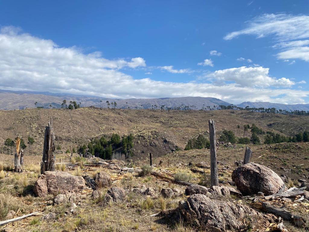 VENTA CAMPO 140 HAS  - ENTRE ATOS PAMPA Y YACANTO