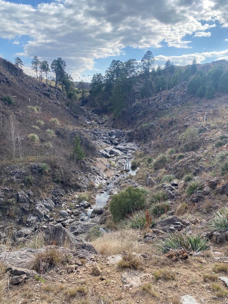 VENTA CAMPO 140 HAS  - ENTRE ATOS PAMPA Y YACANTO