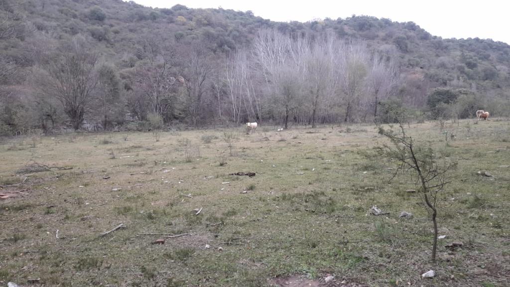 VENTA de CAMPO en ATOS PAMPA. 83 HAS. OPORTUNIDAD!!