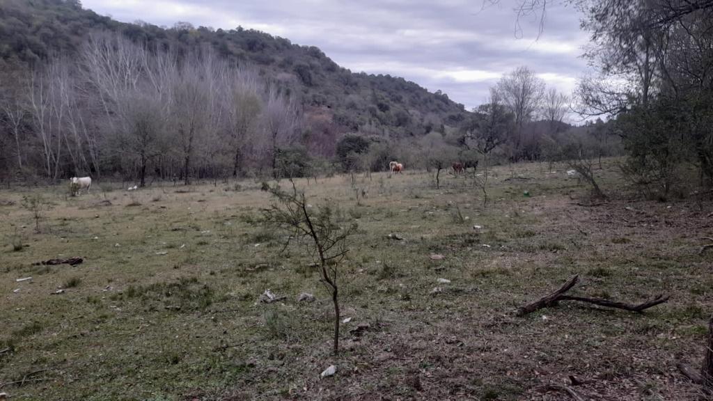 VENTA de CAMPO en ATOS PAMPA. 83 HAS. OPORTUNIDAD!!