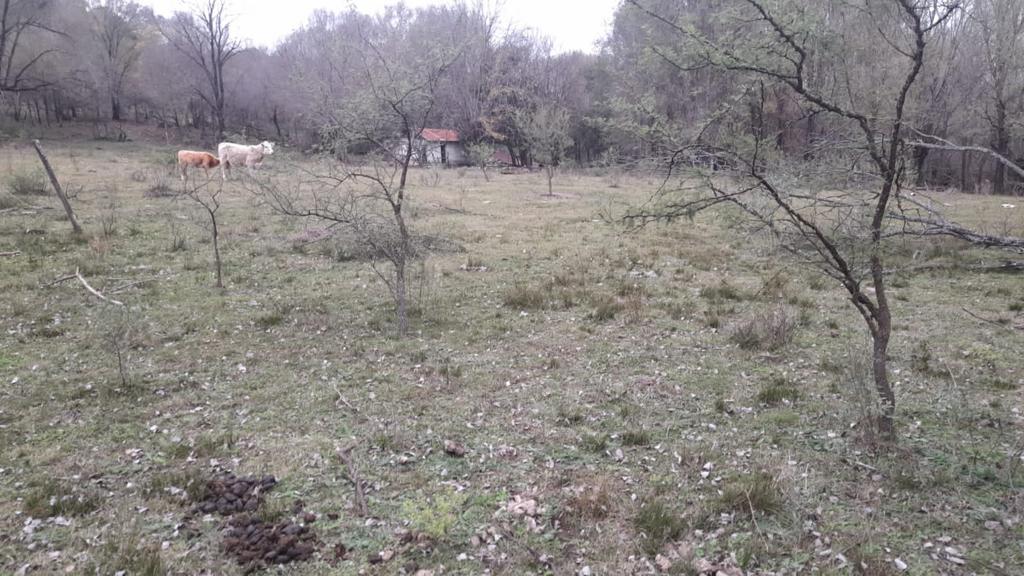 VENTA de CAMPO en ATOS PAMPA. 83 HAS. OPORTUNIDAD!!