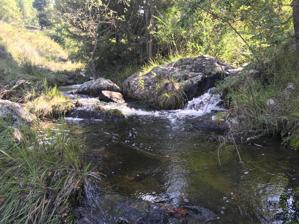 CAMPO en VILLA BERNA. 129 HAS. ZONA EXCLUSIVA EN CALAMUCHITA