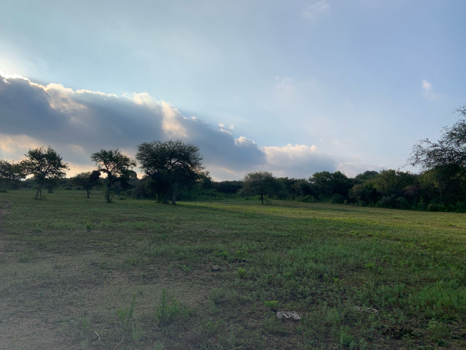 CAMPO SOBRE RIO PINTO A POCOC KMS DE LA  IGLESIA DE SANTA CATALINA.