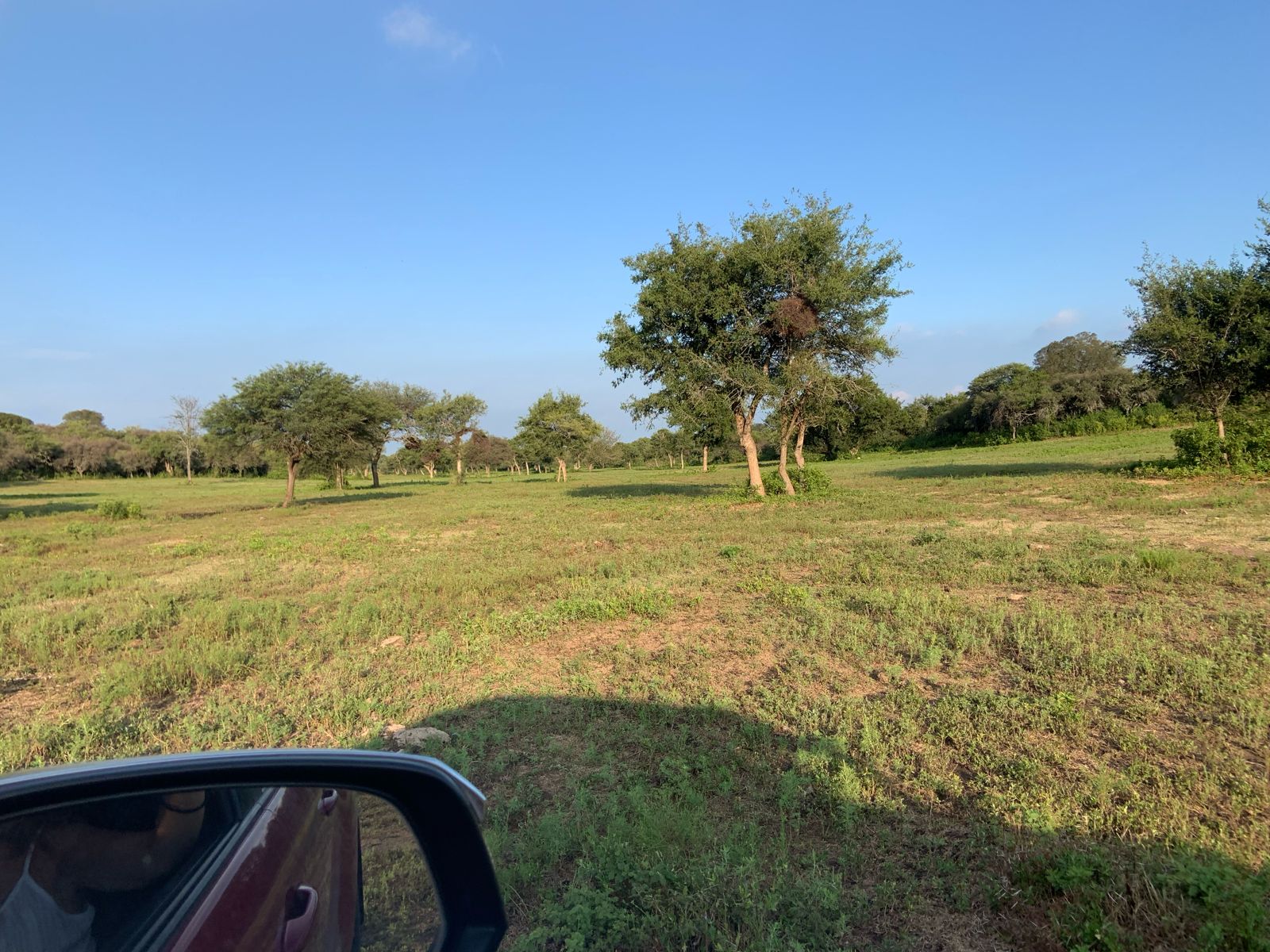 CAMPO SOBRE RIO PINTO A POCOC KMS DE LA  IGLESIA DE SANTA CATALINA.