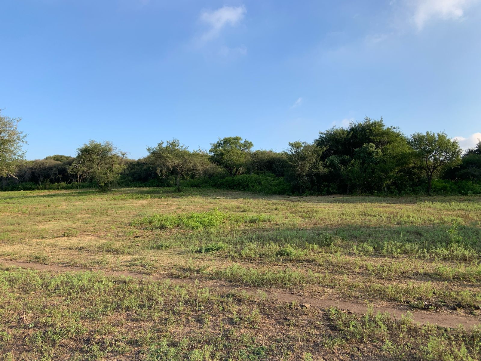 CAMPO SOBRE RIO PINTO A POCOC KMS DE LA  IGLESIA DE SANTA CATALINA.