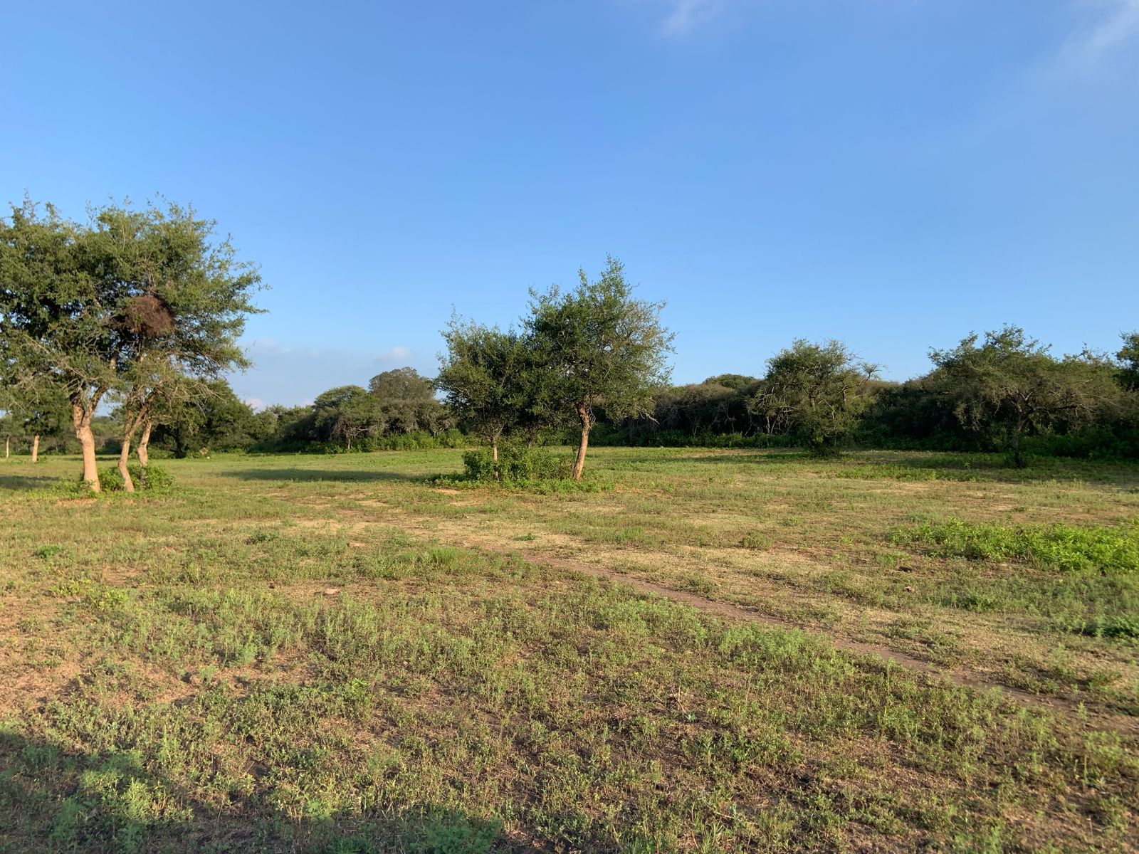 CAMPO SOBRE RIO PINTO A POCOC KMS DE LA  IGLESIA DE SANTA CATALINA.