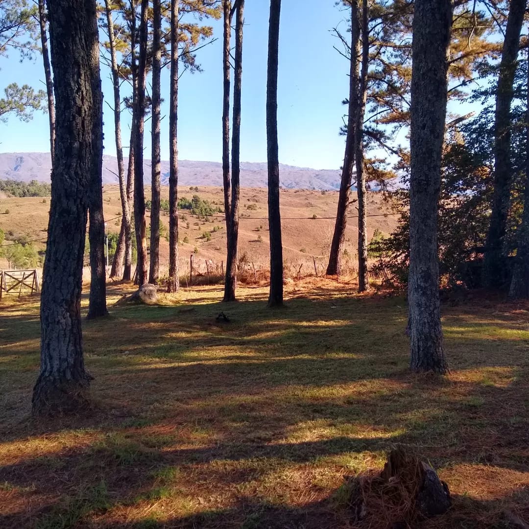 VENTA CABAÑA RUSTICA EN YACANTO