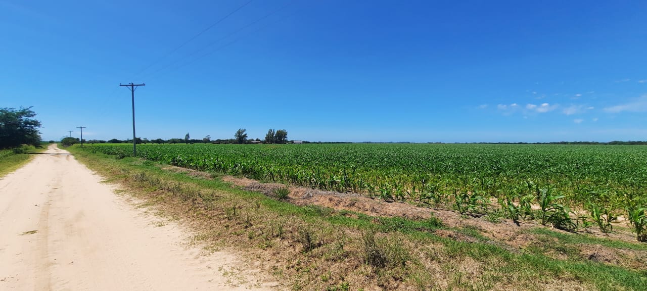 EN VENTA 45 Ha. AGRICOLA - LOZADA - SANTA MARIA - CORDOBA