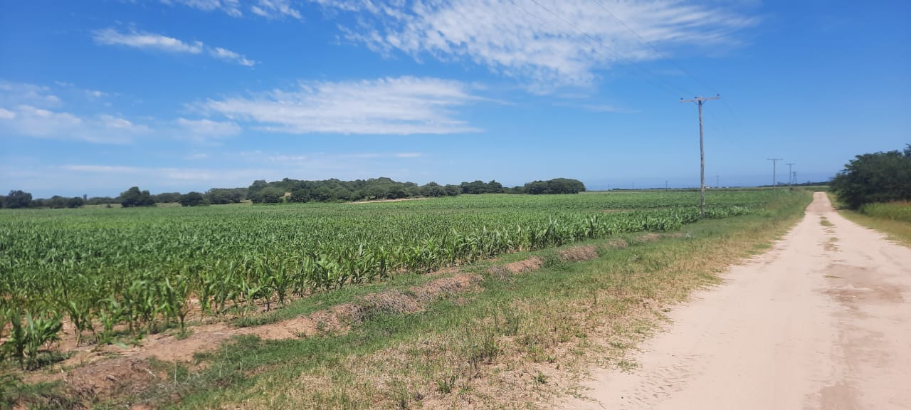 EN VENTA 45 Ha. AGRICOLA - LOZADA - SANTA MARIA - CORDOBA