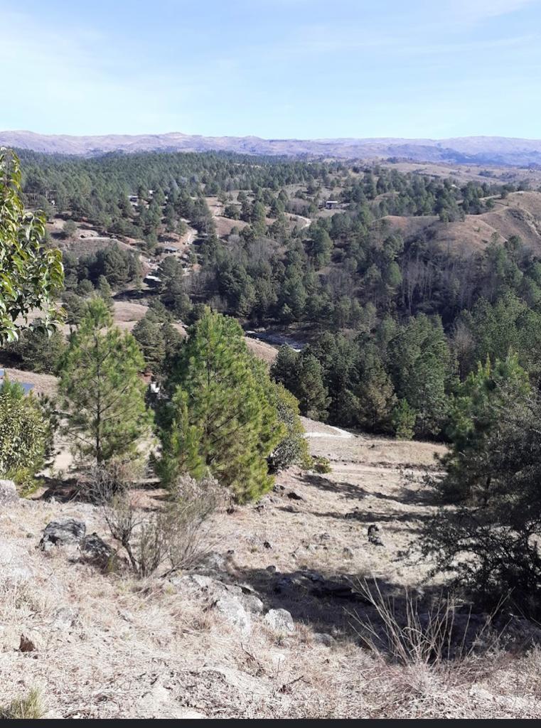 VENTA. LOTES EN EL DURAZNO. YACANTO