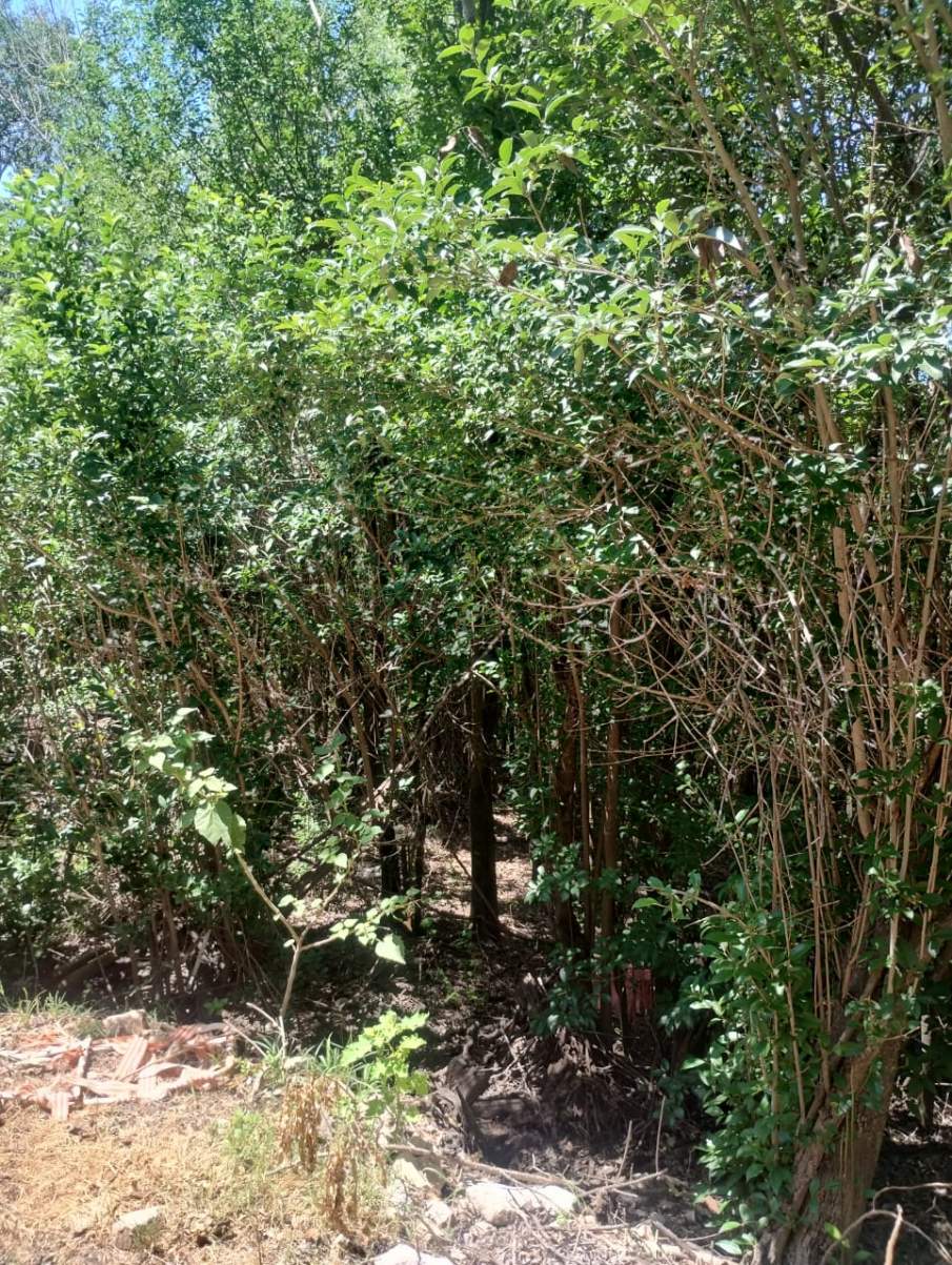 VENDO LOTE CON FINANCIACION PROPIA - RIO CEBALLOS - CORDOBA