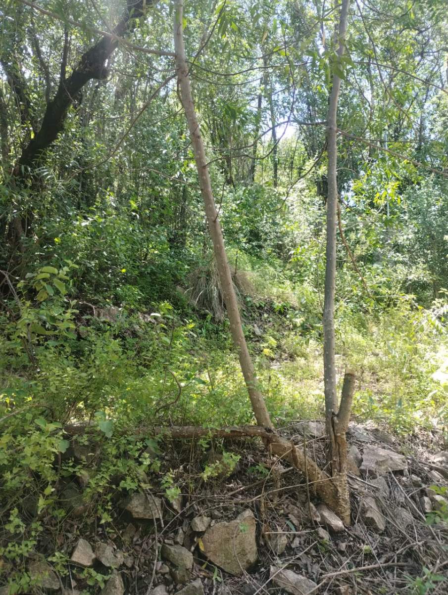 VENDO LOTE CON FINANCIACION PROPIA - RIO CEBALLOS - CORDOBA