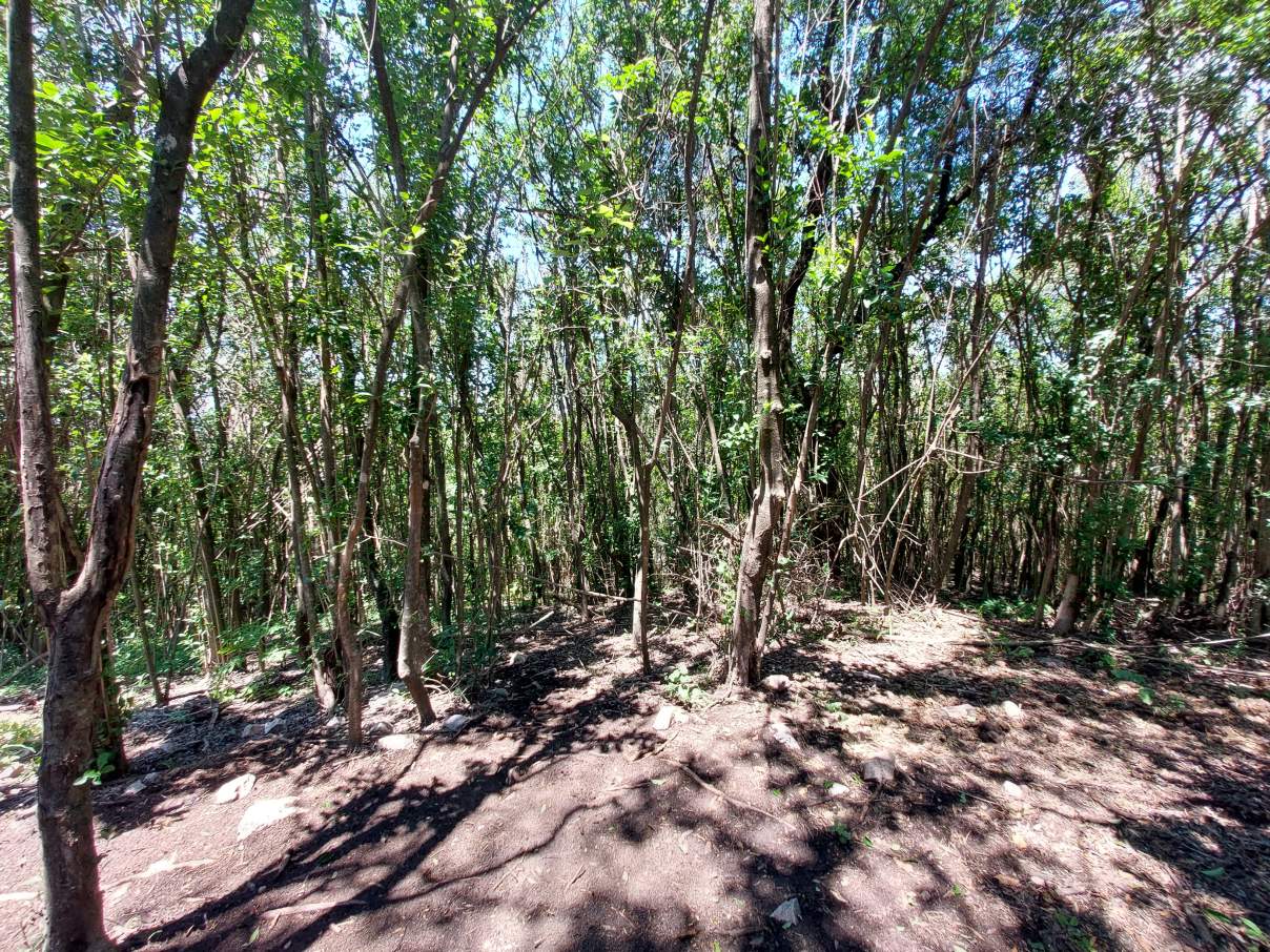VENDO LOTE CON FINANCIACION PROPIA - RIO CEBALLOS - CORDOBA