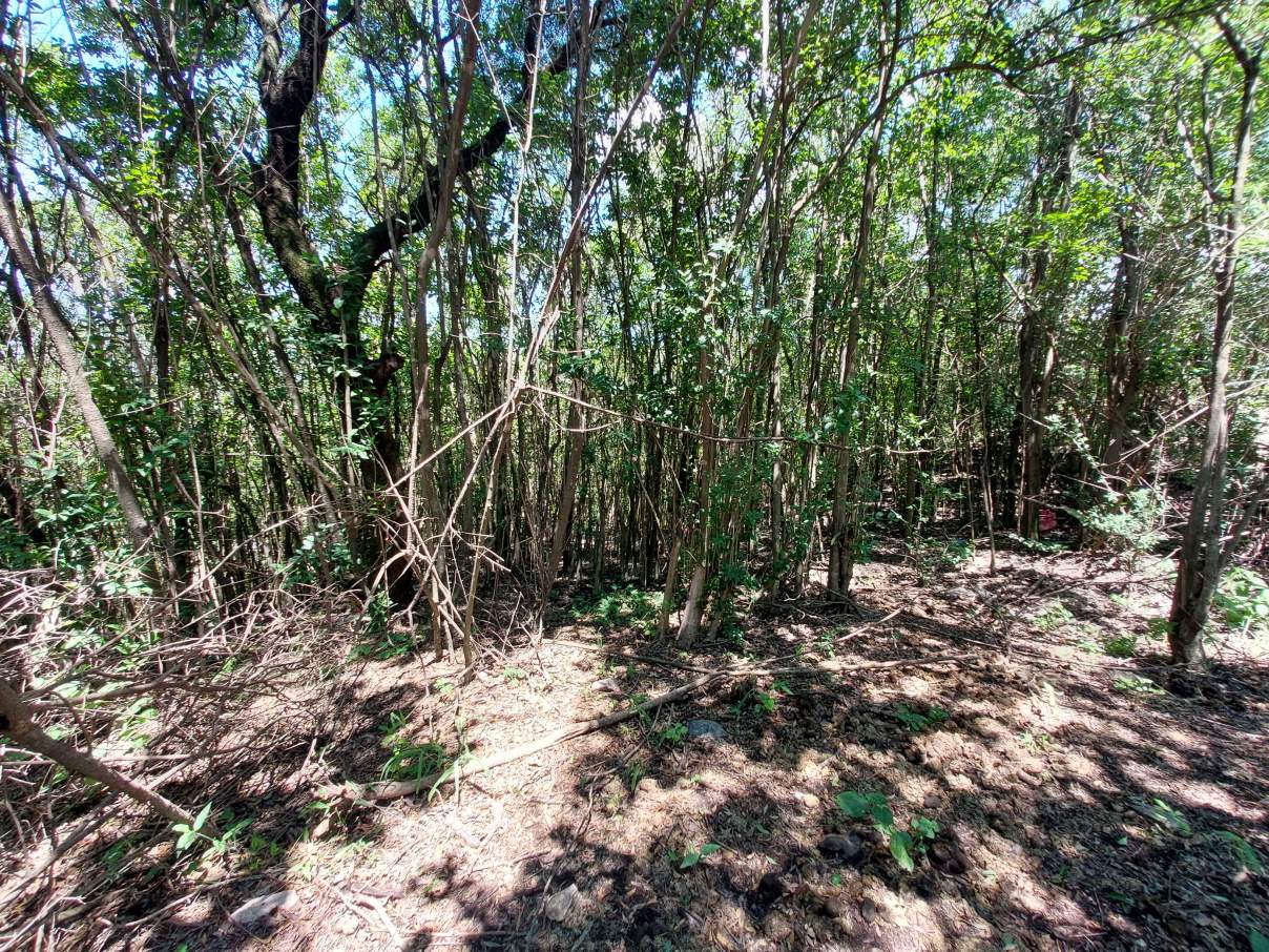 VENDO LOTE CON FINANCIACION PROPIA - RIO CEBALLOS - CORDOBA
