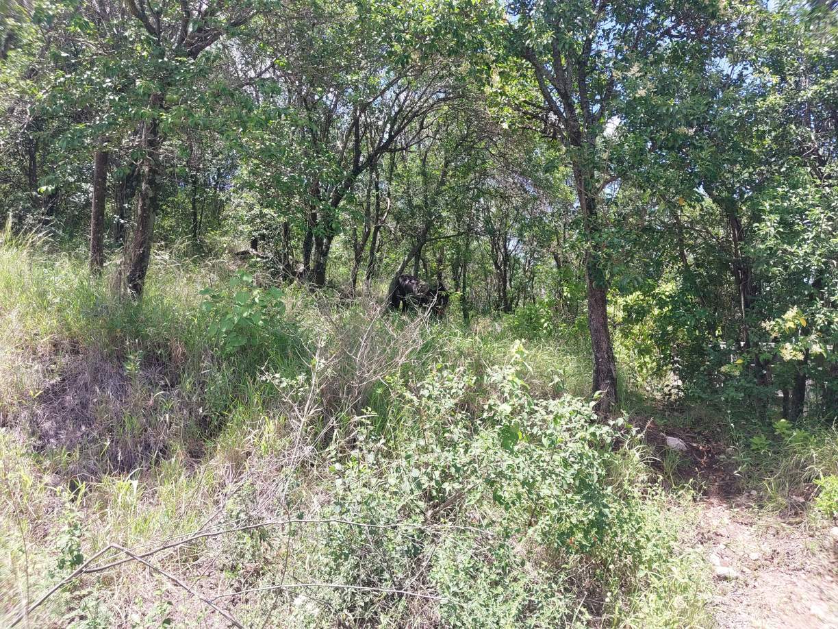 VENDO LOTE CON FINANCIACION PROPIA - RIO CEBALLOS - CORDOBA