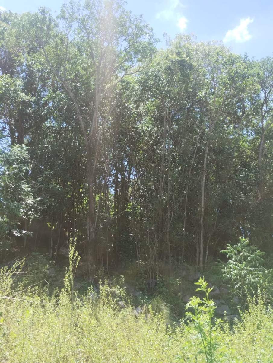 VENDO LOTE CON FINANCIACION PROPIA - RIO CEBALLOS - CORDOBA