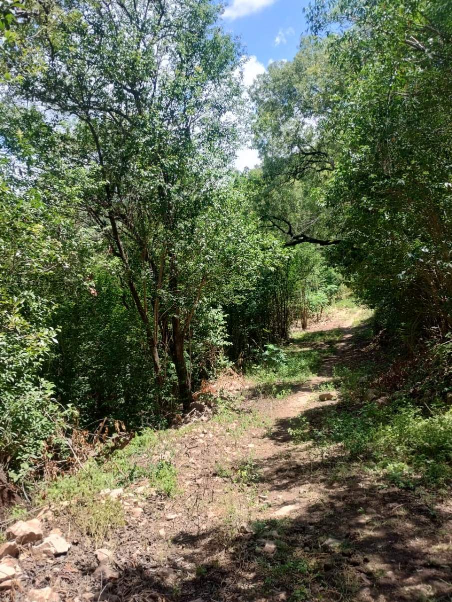 VENDO LOTE CON FINANCIACION PROPIA - RIO CEBALLOS - CORDOBA