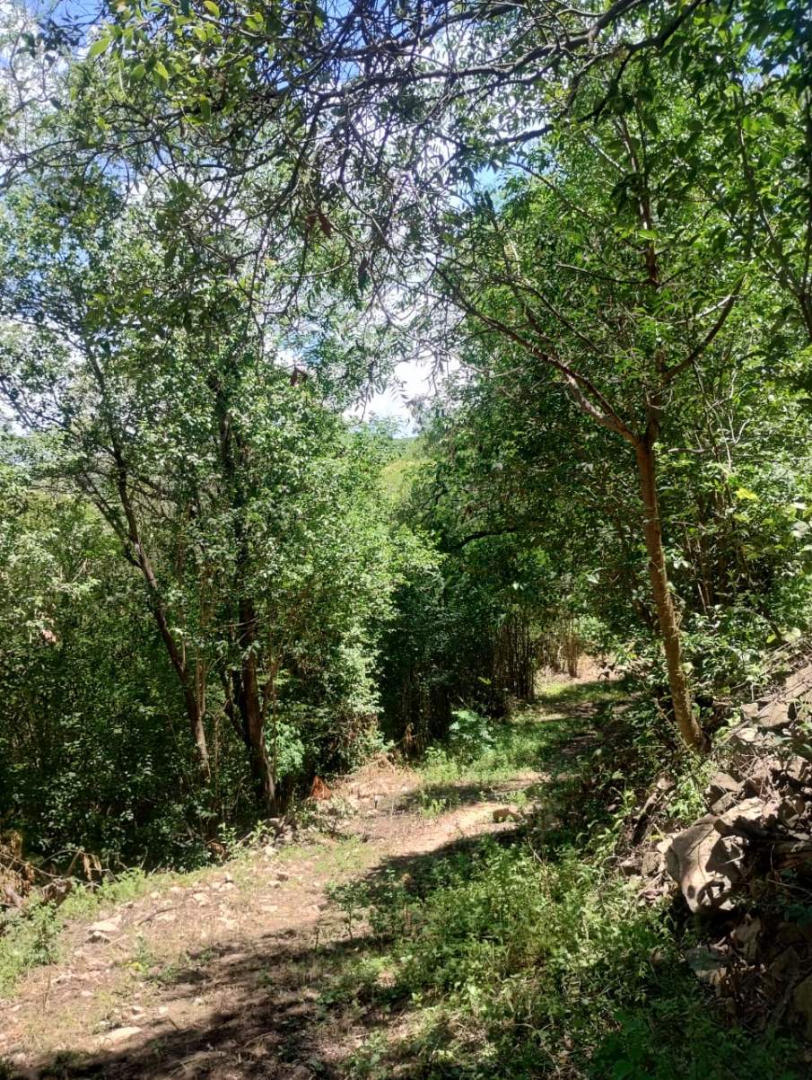 VENDO LOTE CON FINANCIACION PROPIA - RIO CEBALLOS - CORDOBA