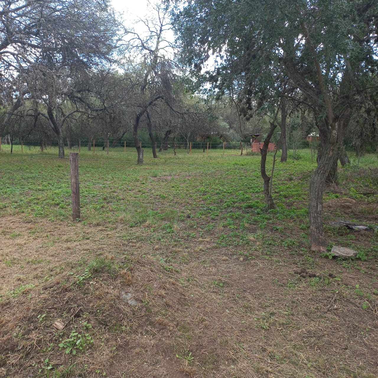 TERRENO EN QUEBRADA DE LOS POZOS