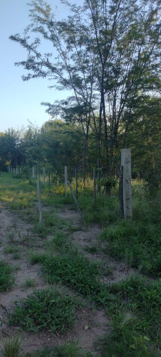 VENTA LOTE DE 1179MTS EN MOLINARI COSQUÍN APTO BANCO