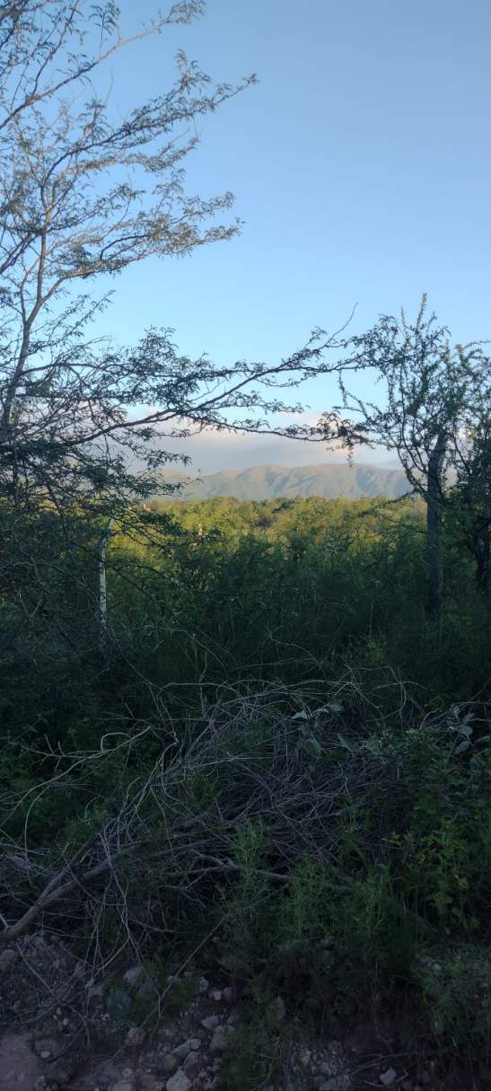 VENTA LOTE DE 1179MTS EN MOLINARI COSQUÍN APTO BANCO
