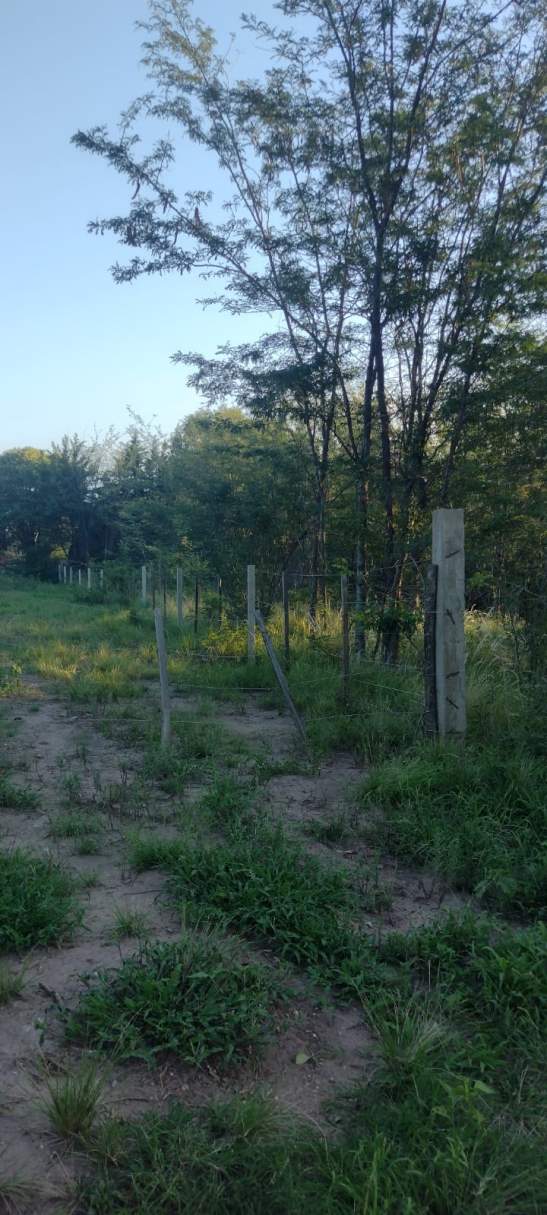 VENTA LOTE DE 1179MTS EN MOLINARI COSQUÍN APTO BANCO