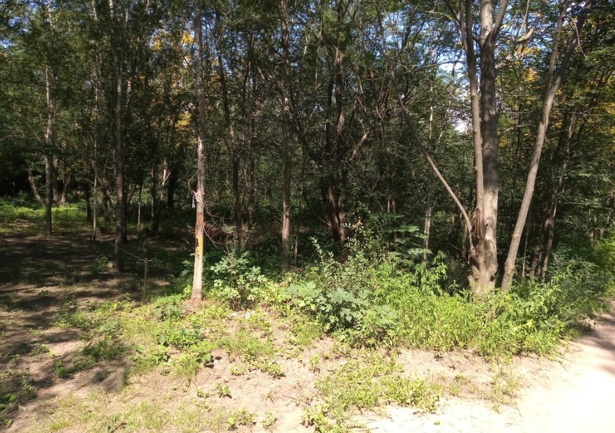 COMPRE YA LOTE EN BARRIO PRIVADO EN ESTANCIA SAN JOSE, FRENTE AL BARRIO EL TERRON Y SAN ALFONSO DEL 