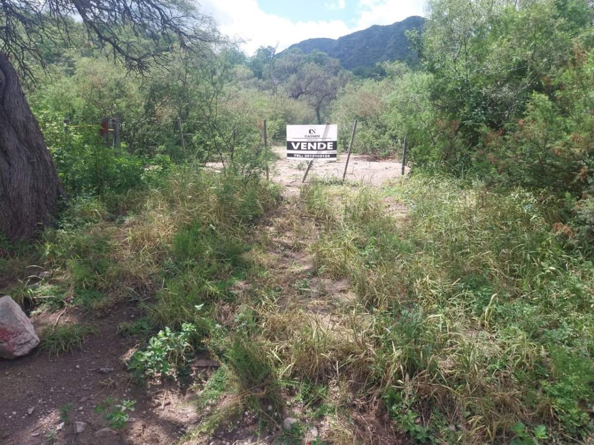 CASNEM Vende Campo 300 HA en San Marcos Sierra. Ideal emprendimiento turístico