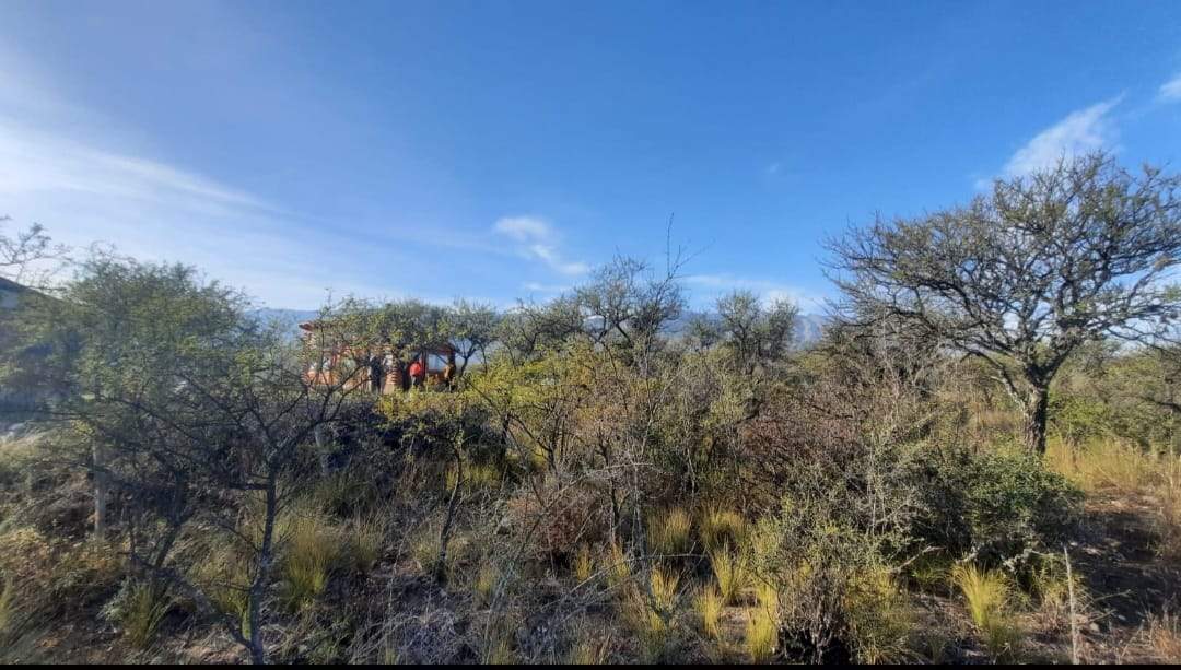 LOTES EN VENTAS EN “LAS RABONAS”