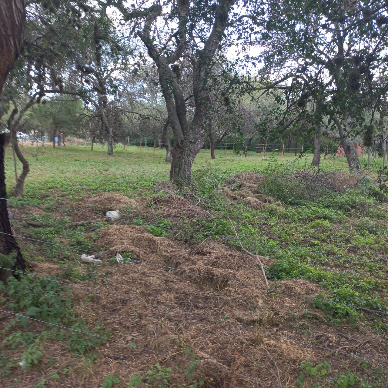 TERRENO EN QUEBRADA DE LOS POZOS