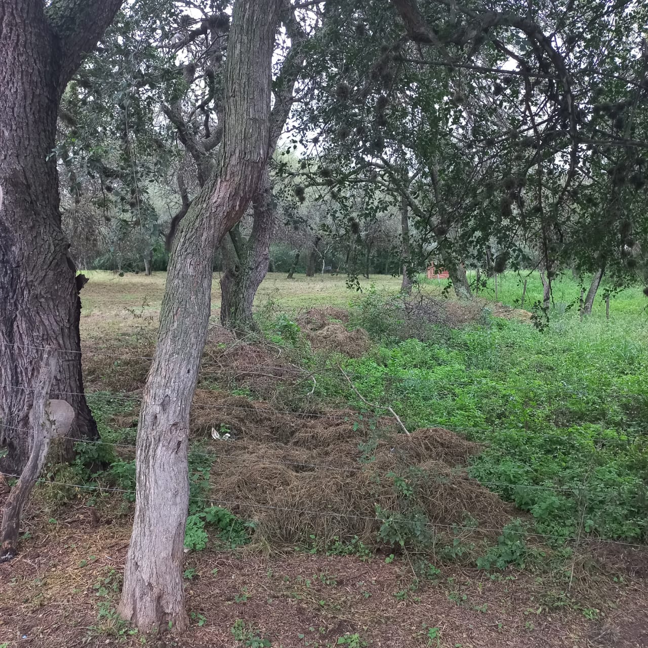 TERRENO EN QUEBRADA DE LOS POZOS