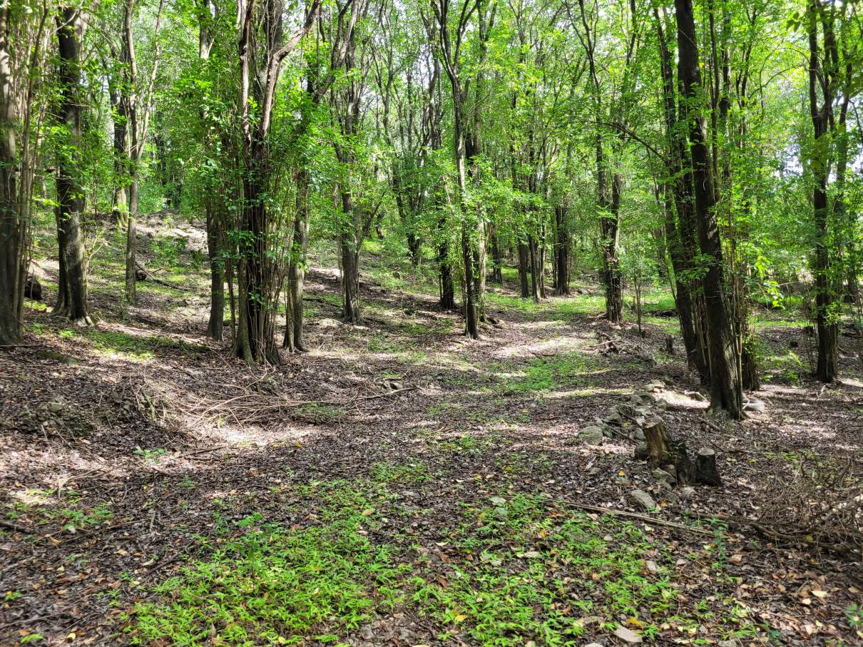 Campo en Venta 47999 m² en Camino Al Cuadrado Rio Ceballos