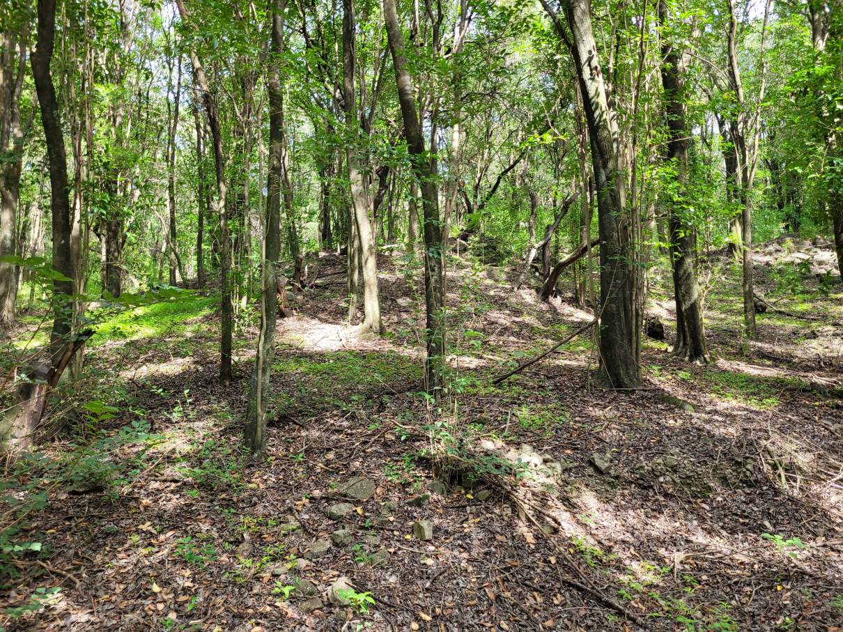 Campo en Venta 47999 m² en Camino Al Cuadrado Rio Ceballos