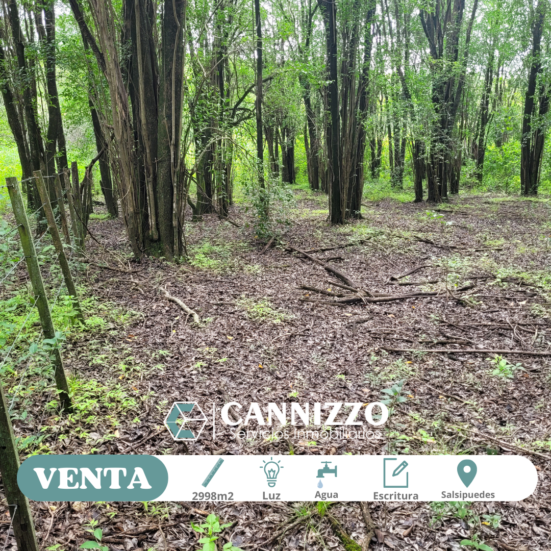 Lote en Venta 2998 m² - a Pocas Cuadras de La Bajada Caracol a Rio Ceballos