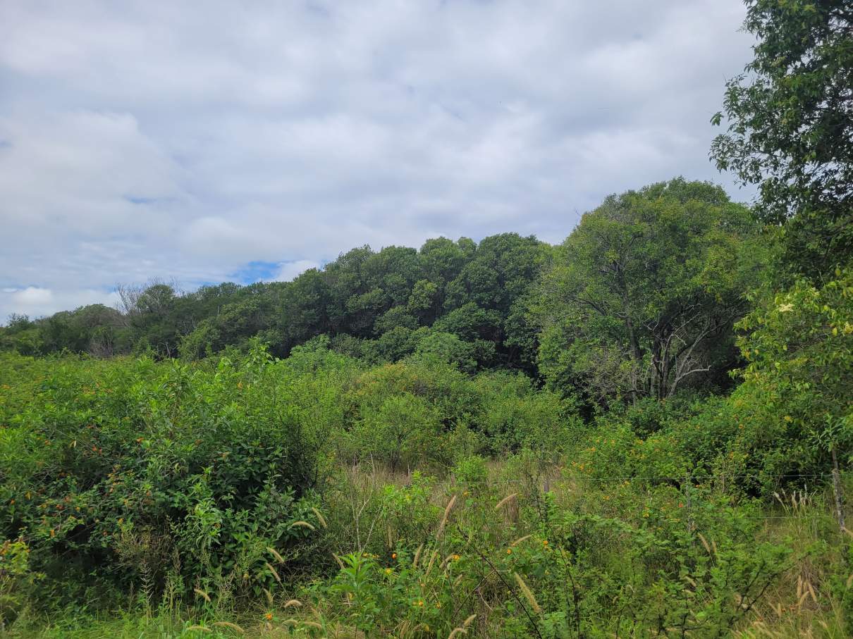 Lote en Venta 2998 m² - a Pocas Cuadras de La Bajada Caracol a Rio Ceballos