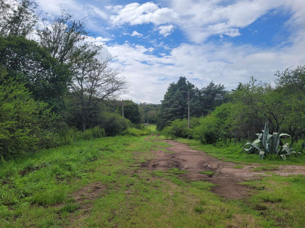 Lote en Venta 2998 m² - a Pocas Cuadras de La Bajada Caracol a Rio Ceballos
