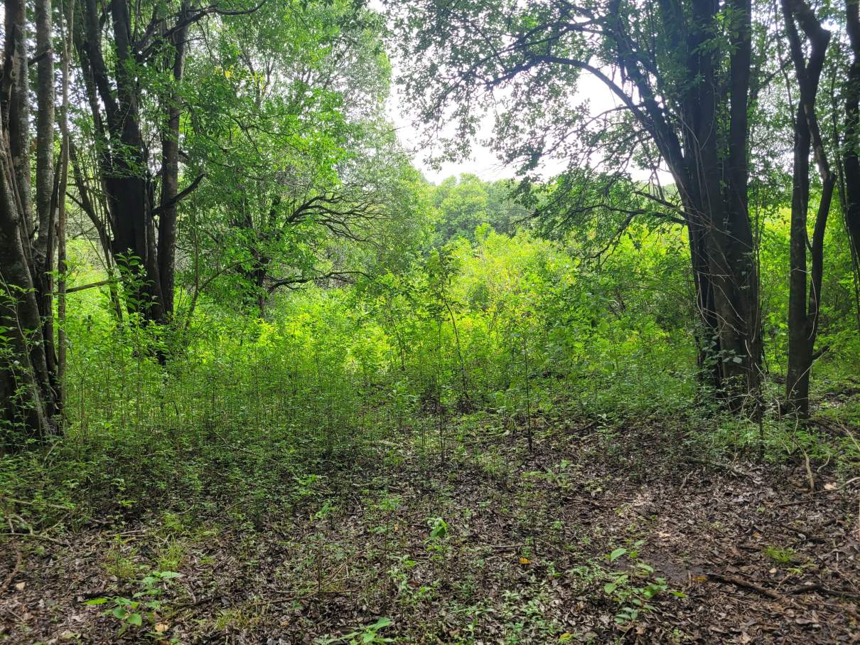 Lote en Venta 2998 m² - a Pocas Cuadras de La Bajada Caracol a Rio Ceballos