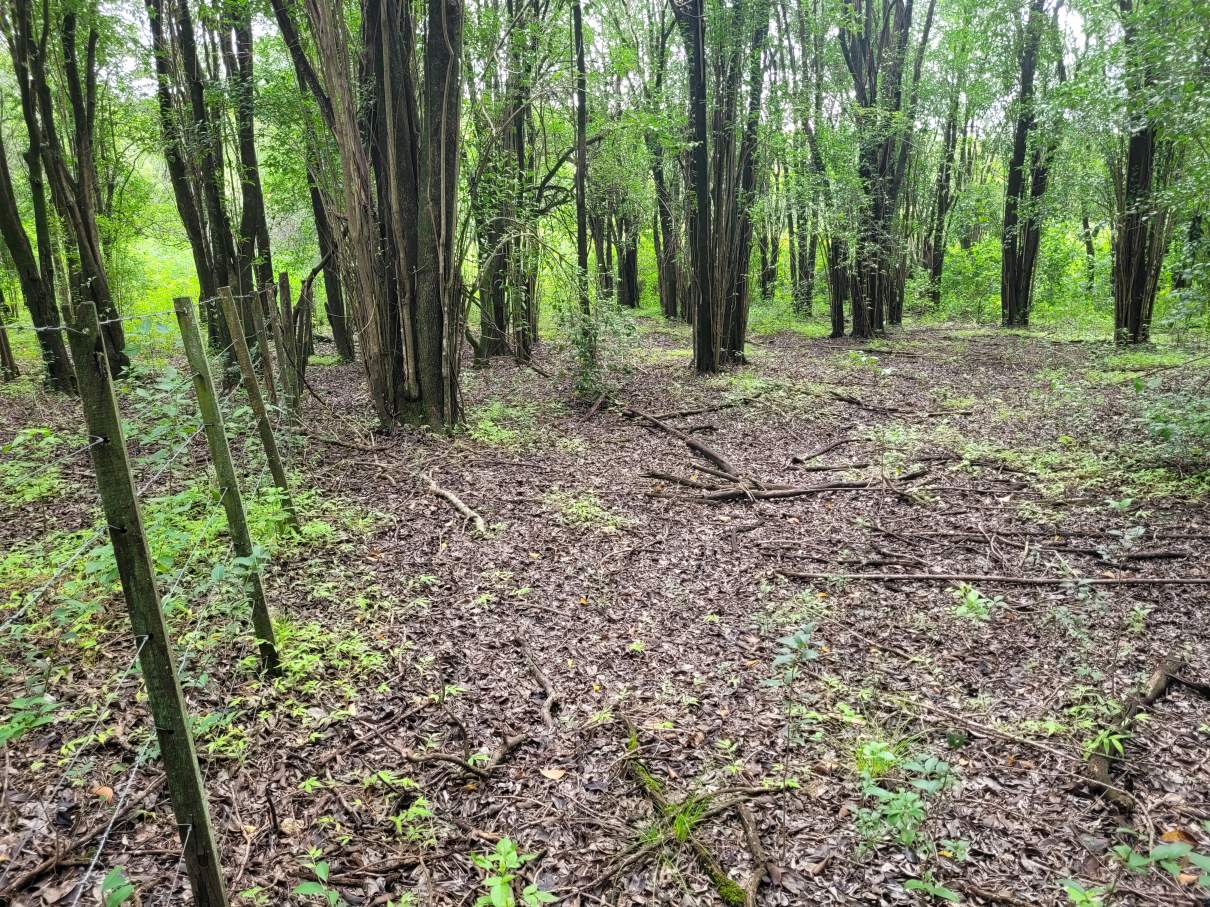 Lote en Venta 2998 m² - a Pocas Cuadras de La Bajada Caracol a Rio Ceballos