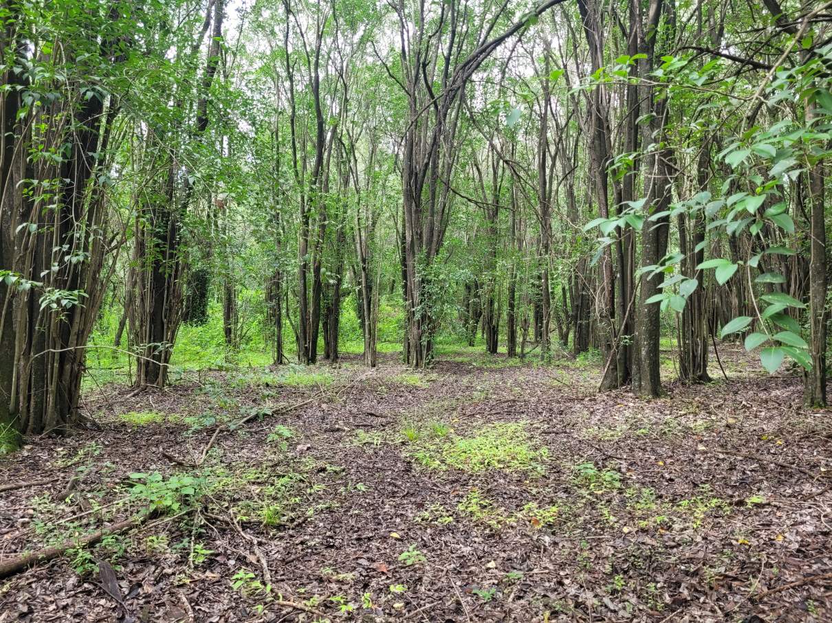 Lote en Venta 2998 m² - a Pocas Cuadras de La Bajada Caracol a Rio Ceballos