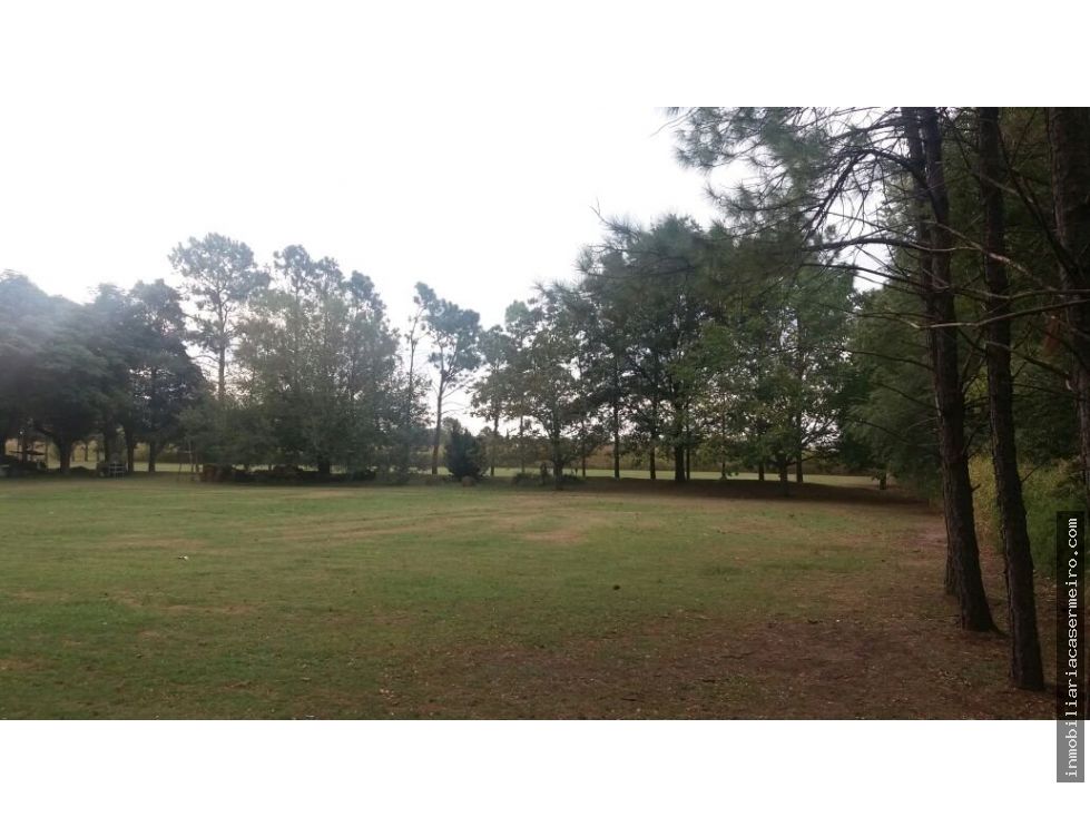 SE VENDE UNA HECTÁREA MÁS DOS CASAS Y UN GALPÓN EN ANISACATE.