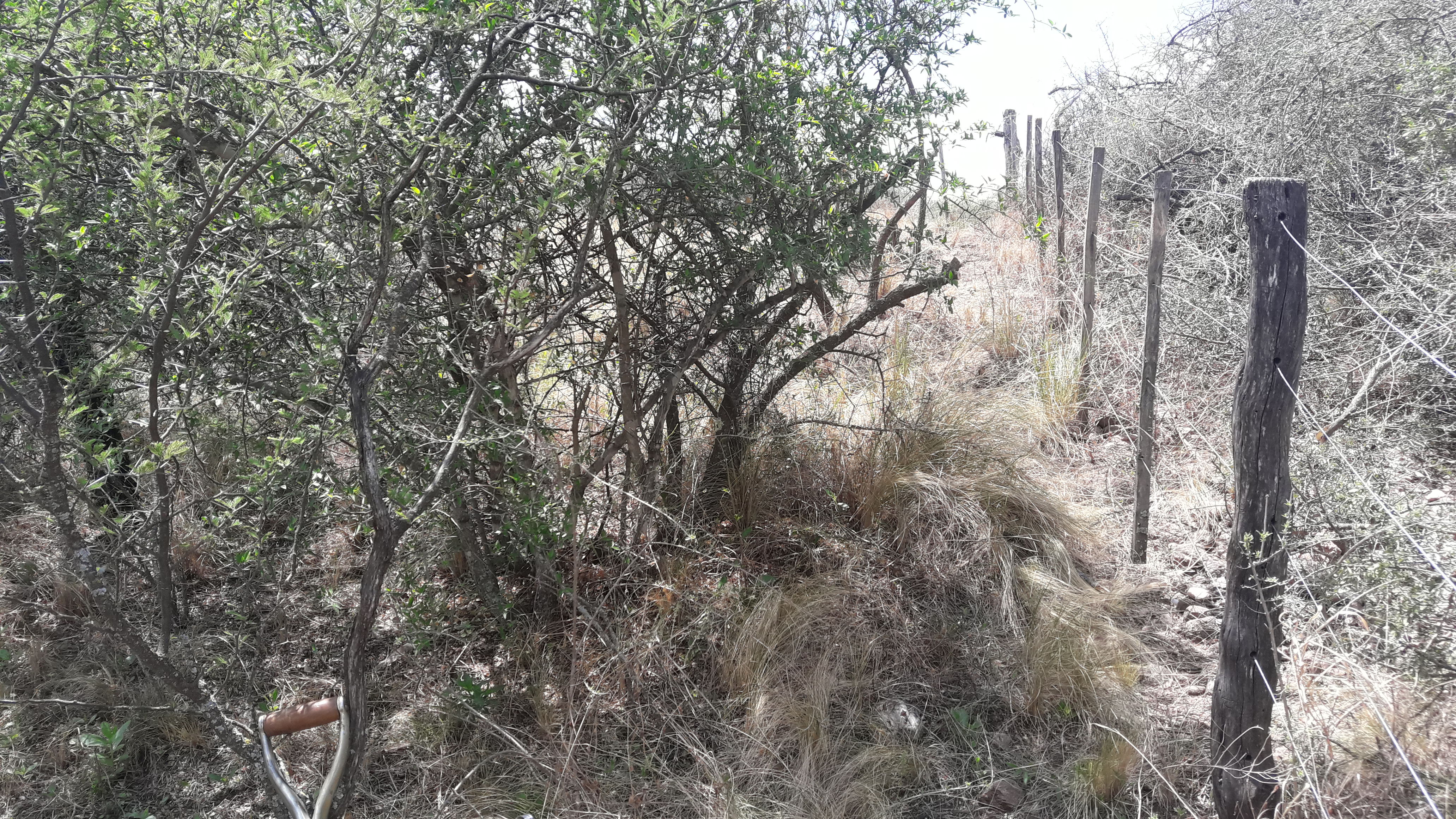 Terreno de 6000 m2 en Villa Cura Brochero, Córdoba