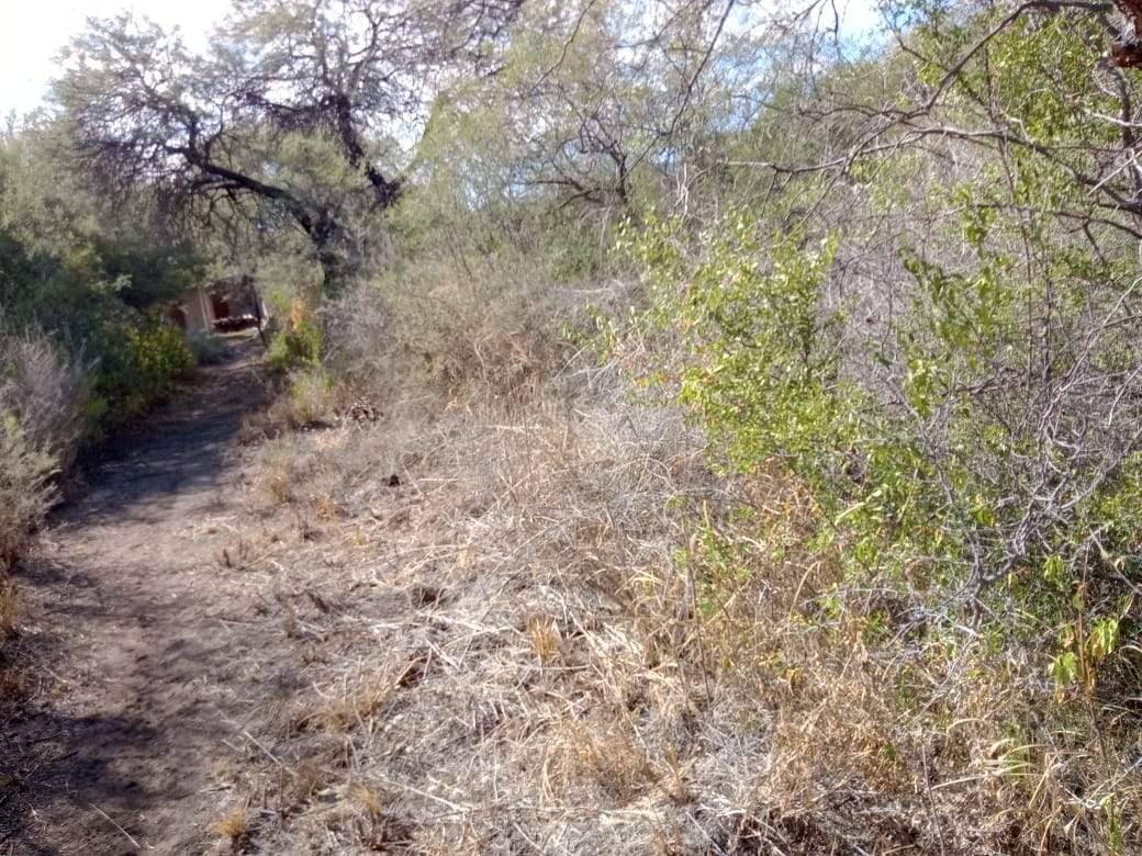 VENTA LOTE EN EL CARRIZAL- CHARBONIER-CÓRDOBA