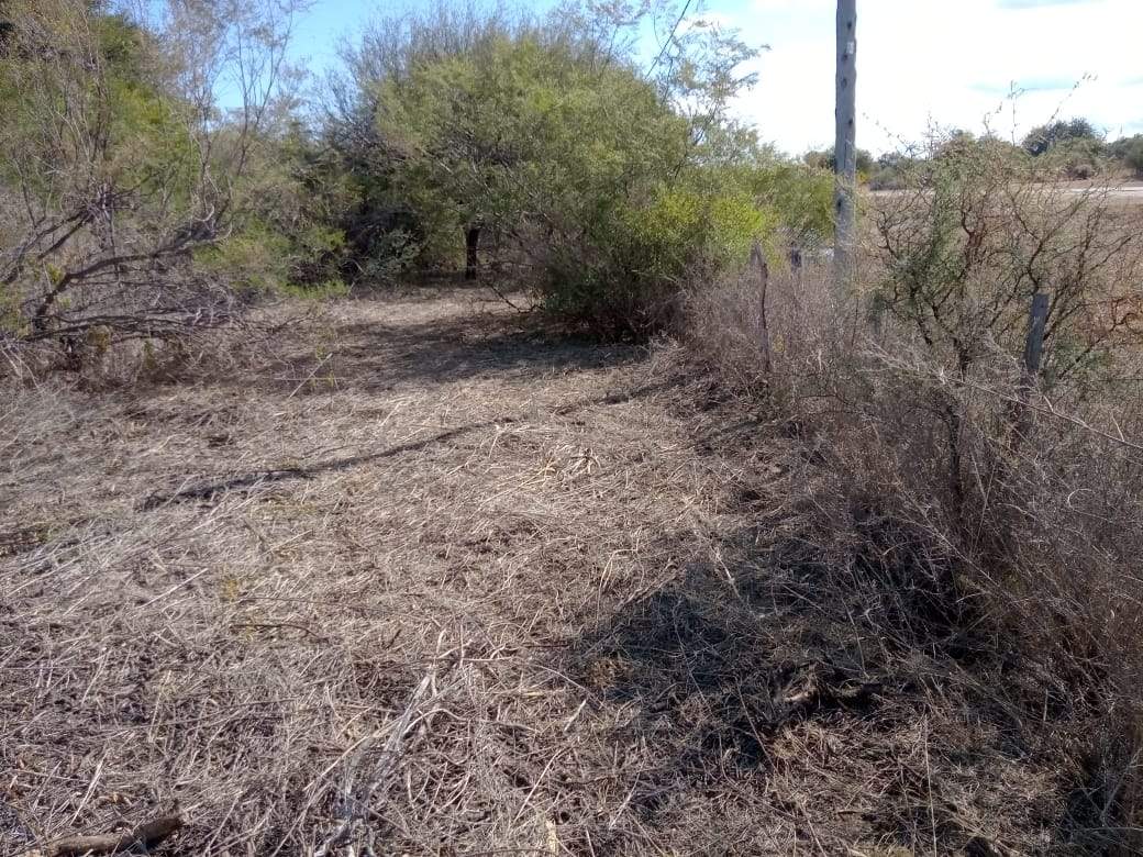VENTA LOTE EN EL CARRIZAL- CHARBONIER-CÓRDOBA