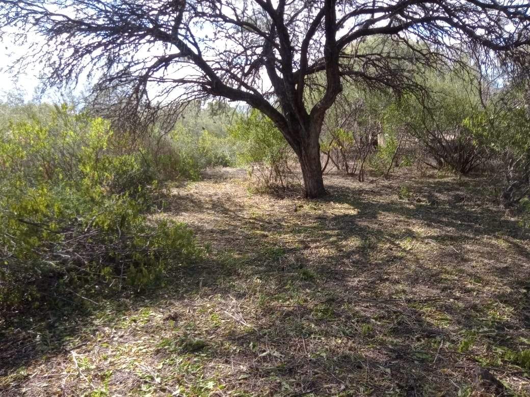 VENTA LOTE EN EL CARRIZAL- CHARBONIER-CÓRDOBA