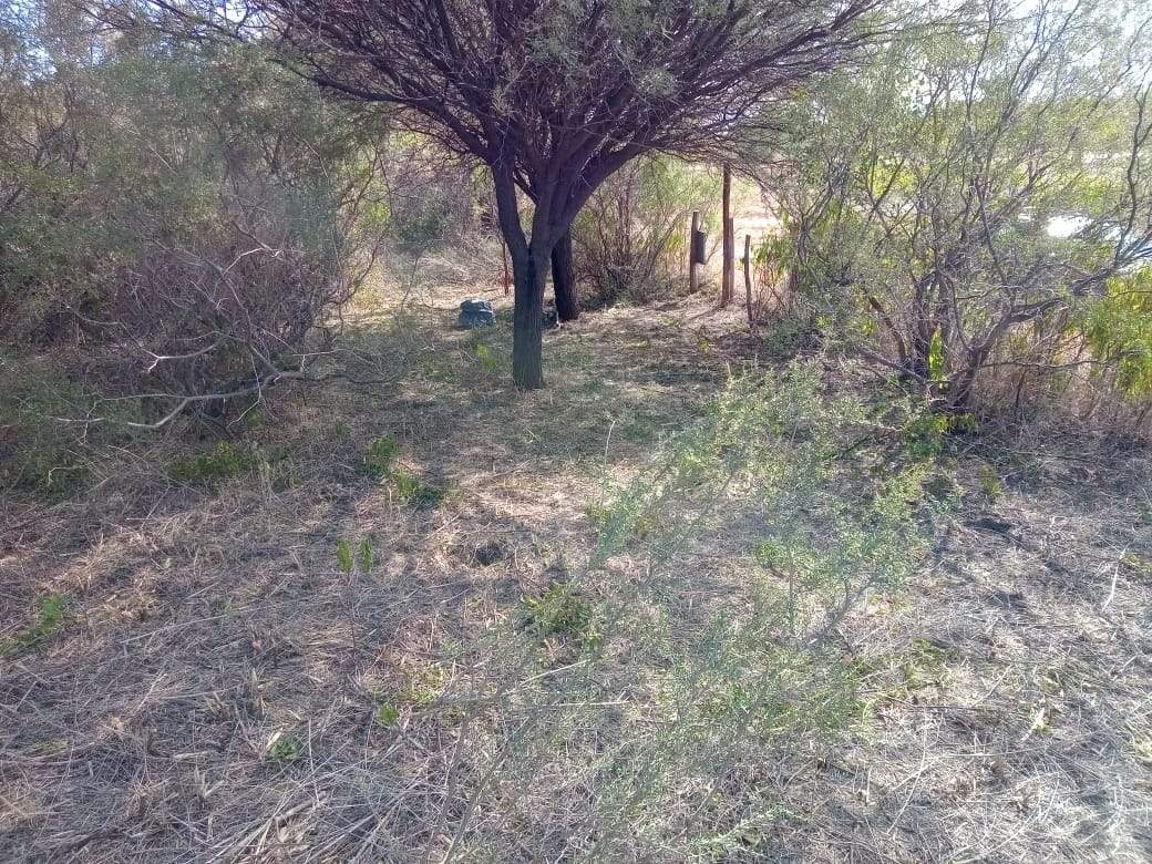 VENTA LOTE EN EL CARRIZAL- CHARBONIER-CÓRDOBA