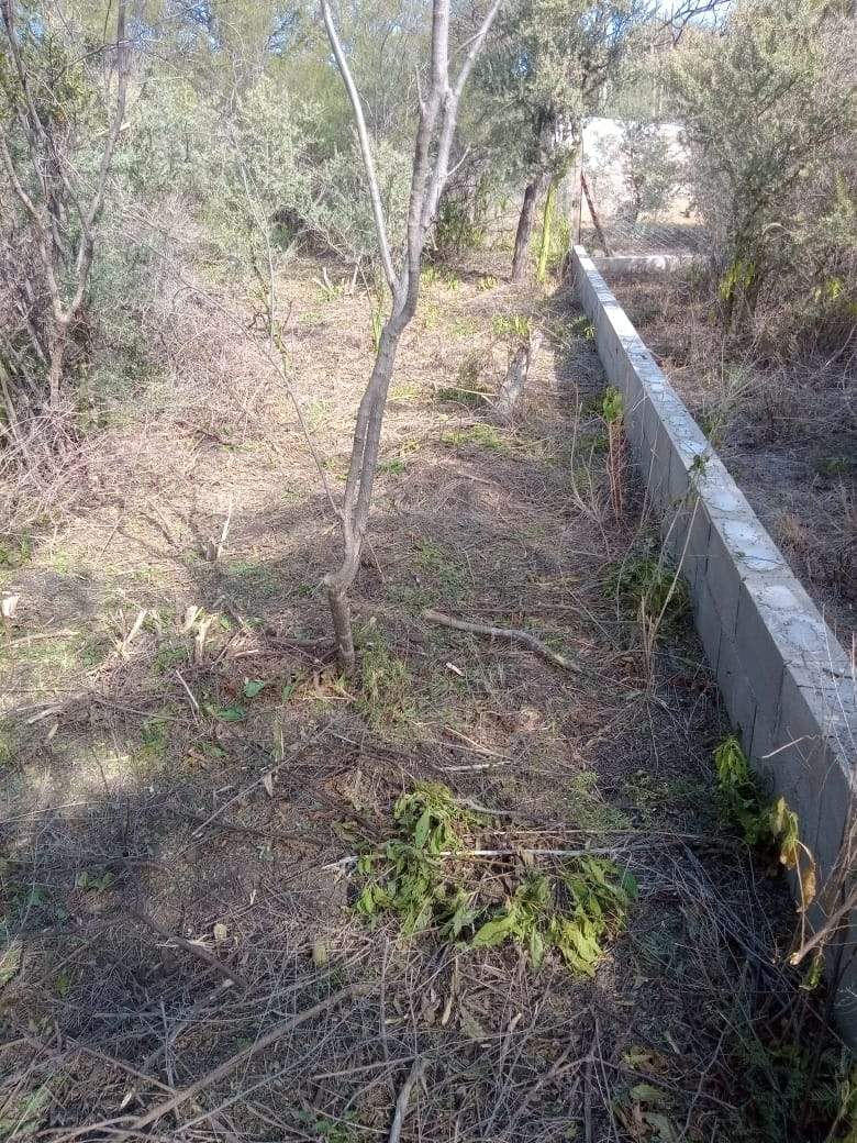 VENTA LOTE EN EL CARRIZAL- CHARBONIER-CÓRDOBA